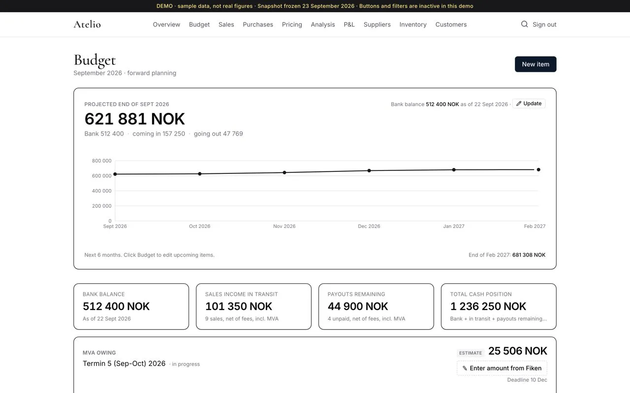 The budget page in Biboja's finance system, demo version with sample data